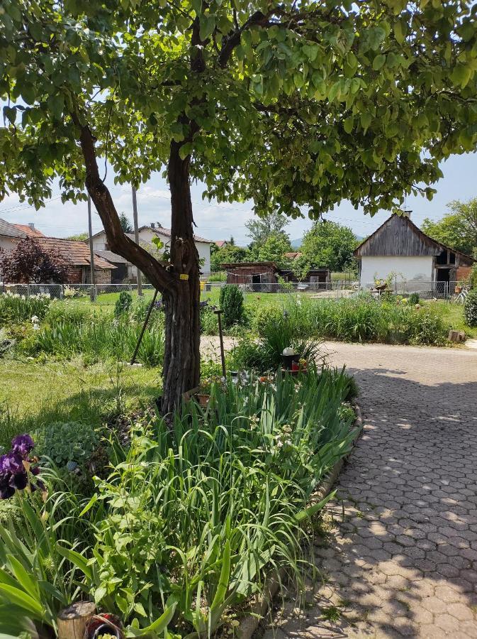 Villa Drenje Kljuc Brdovecki Экстерьер фото