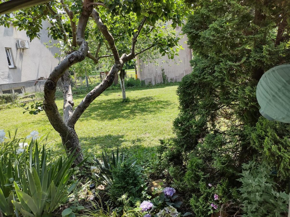 Villa Drenje Kljuc Brdovecki Экстерьер фото