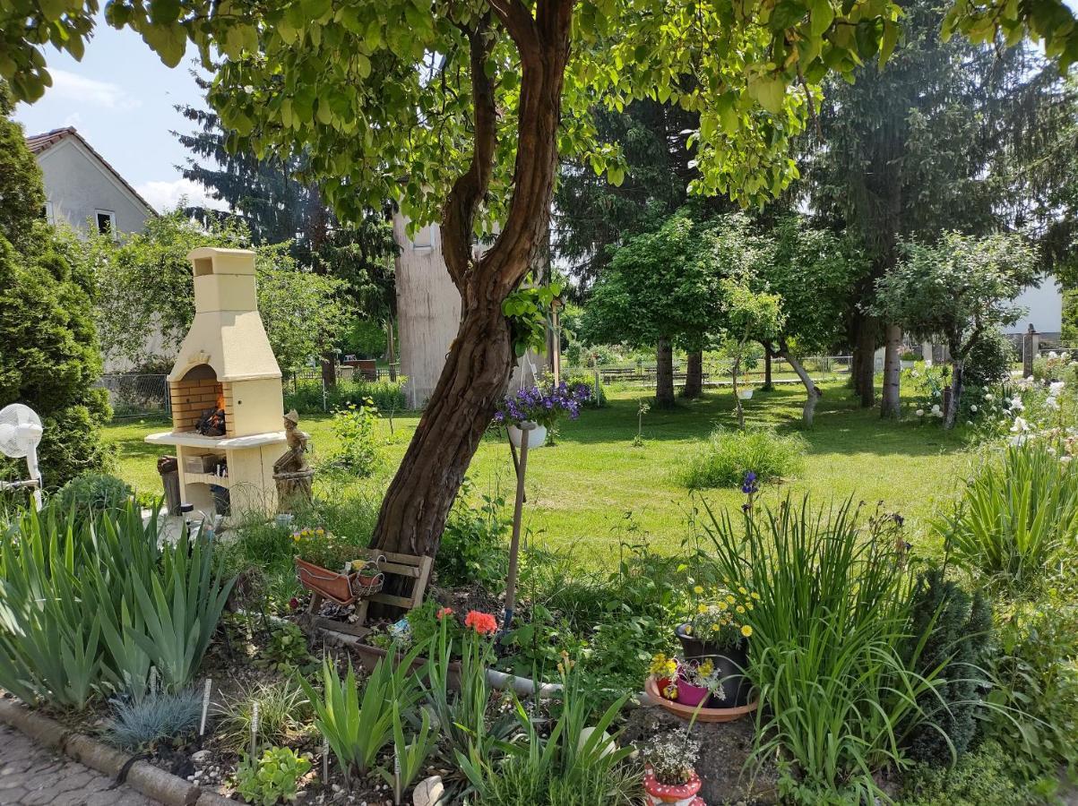 Villa Drenje Kljuc Brdovecki Экстерьер фото